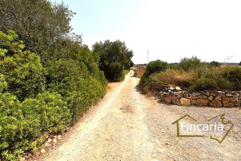 Landejendom i Manacor, Mallorca, Manacor - € 675.000 | Ref: FM-2043 - foto 36