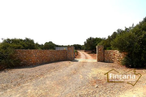 Landejendom i Manacor, Mallorca, Manacor - € 675.000 | Ref: FM-2043 - foto 37