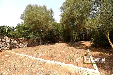Landejendom i Manacor, Mallorca, Manacor - € 675.000 | Ref: FM-2043 - foto 38
