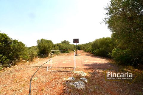 Landejendom i Manacor, Mallorca, Manacor - € 675.000 | Ref: FM-2043 - foto 41