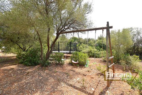 Landejendom i Manacor, Mallorca, Manacor - € 675.000 | Ref: FM-2043 - foto 42