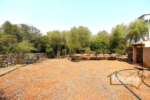 Landejendom i Manacor, Mallorca, Manacor - € 675.000 | Ref: FM-2043 - foto 43