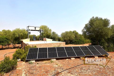 Landejendom i Manacor, Mallorca, Manacor - € 675.000 | Ref: FM-2043 - foto 45