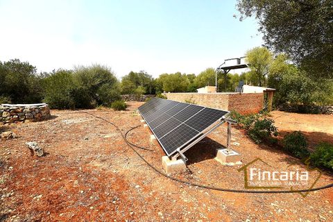 Landejendom i Manacor, Mallorca, Manacor - € 675.000 | Ref: FM-2043 - foto 46