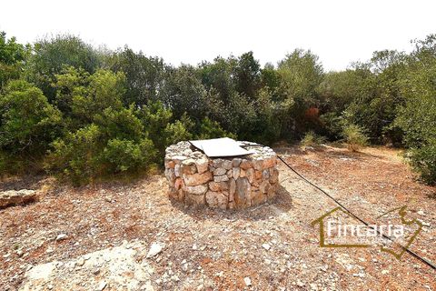 Landejendom i Manacor, Mallorca, Manacor - € 675.000 | Ref: FM-2043 - foto 47