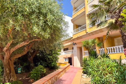 Garage i La Mata, Alicante, La Mata - € 14.000 | Ref: ARE-4359 - foto 4