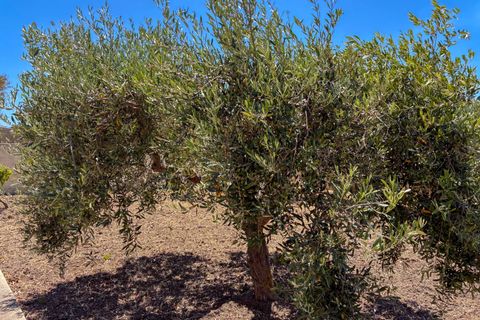 Villa i Realmonte, Agrigento, Realmonte - € 400.000 | Ref: Villa Alfonso-Scala dei Turchi - foto 49