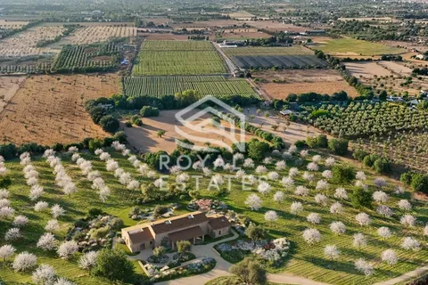 Helårsgrund i Binissalem, Mallorca, Binissalem - € 2.500.000 | Ref: 127626 - foto 1
