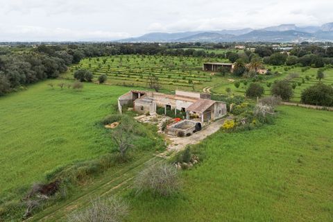 Villa a Binissalem, Mallorca, Binissalem - € 7.995.000 | Ref: 127510 - foto 20