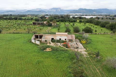 Villa a Binissalem, Mallorca, Binissalem - € 7.995.000 | Ref: 127510 - foto 21