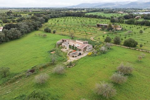 Villa a Binissalem, Mallorca, Binissalem - € 7.995.000 | Ref: 127510 - foto 22