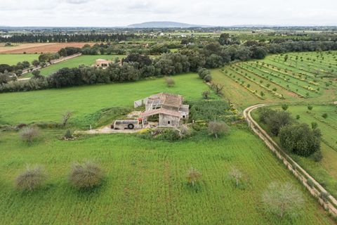 Villa a Binissalem, Mallorca, Binissalem - € 7.995.000 | Ref: 127510 - foto 23