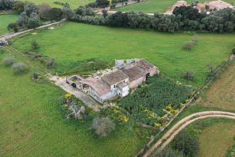Villa a Binissalem, Mallorca, Binissalem - € 7.995.000 | Ref: 127510 - foto 24