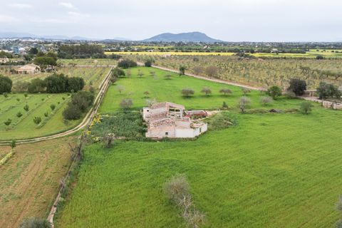 Villa a Binissalem, Mallorca, Binissalem - € 7.995.000 | Ref: 127510 - foto 26