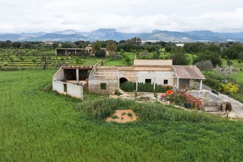 Villa a Binissalem, Mallorca, Binissalem - € 7.995.000 | Ref: 127510 - foto 30