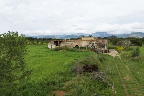 Villa a Binissalem, Mallorca, Binissalem - € 7.995.000 | Ref: 127510 - foto 31