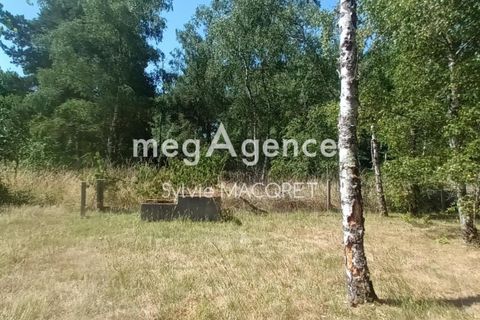 Landejendom i Langon, Loir-et-Cher, Langon - € 159.500 | Ref: 189244 - foto 4