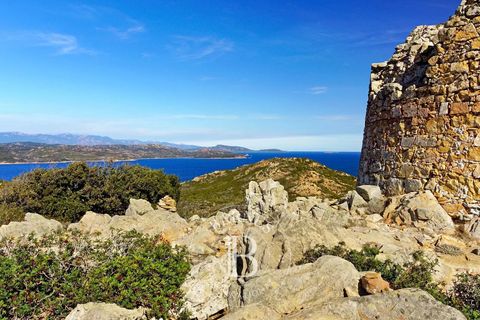 Terra a Bonifacio, Corse-du-Sud, Bonifacio - € 750.000 | Ref: RV1883 - foto 2