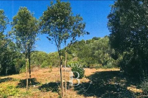 Terra a Bonifacio, Corse-du-Sud, Bonifacio - € 750.000 | Ref: RV1883 - foto 3