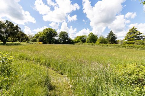 Villa i Boussac, Creuse, Boussac - € 490 500 | Ref: NB-13515 - foto 28