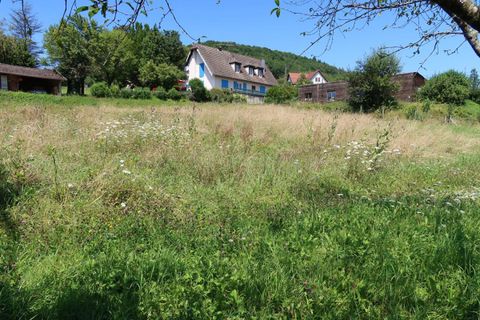 Terra a Rurey, Doubs, Rurey - € 75.000 | Ref: 319-BES - foto 5