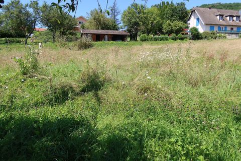 Terra a Rurey, Doubs, Rurey - € 75.000 | Ref: 319-BES - foto 6