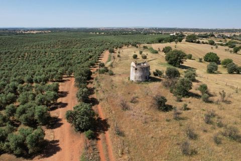 Helårsgrund i Evora, Evora, Evora - € 115.000 | Ref: KWPT-018382 - foto 1