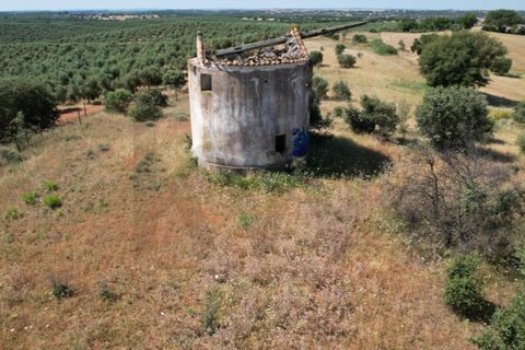 Helårsgrund i Evora, Evora, Evora - € 115.000 | Ref: KWPT-018382 - foto 3