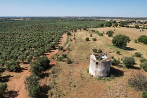 Helårsgrund i Evora, Evora, Evora - € 115.000 | Ref: KWPT-018382 - foto 6