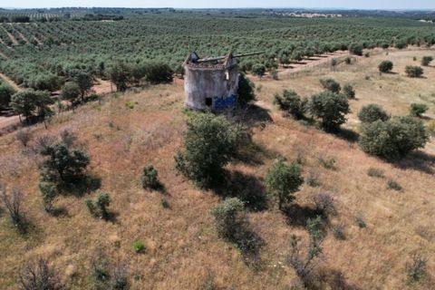 Helårsgrund i Evora, Evora, Evora - € 115.000 | Ref: KWPT-018382 - foto 7