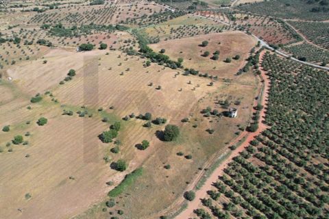 Helårsgrund i Evora, Evora, Evora - € 115.000 | Ref: KWPT-018382 - foto 8