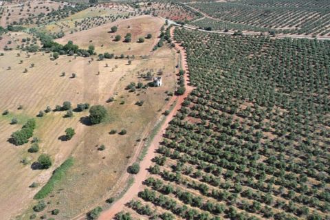 Helårsgrund i Evora, Evora, Evora - € 115.000 | Ref: KWPT-018382 - foto 9