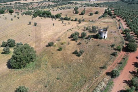 Helårsgrund i Evora, Evora, Evora - € 115.000 | Ref: KWPT-018382 - foto 10