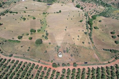 Helårsgrund i Evora, Evora, Evora - € 115.000 | Ref: KWPT-018382 - foto 11
