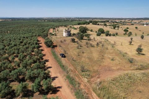 Helårsgrund i Evora, Evora, Evora - € 115.000 | Ref: KWPT-018382 - foto 12