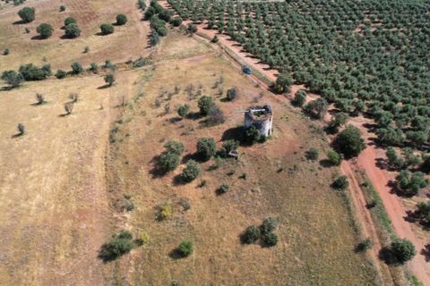 Helårsgrund i Evora, Evora, Evora - € 115.000 | Ref: KWPT-018382 - foto 13