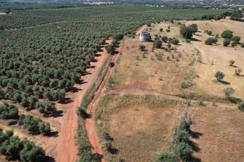 Helårsgrund i Evora, Evora, Evora - € 115.000 | Ref: KWPT-018382 - foto 14