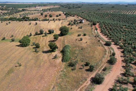 Helårsgrund i Evora, Evora, Evora - € 115.000 | Ref: KWPT-018382 - foto 15