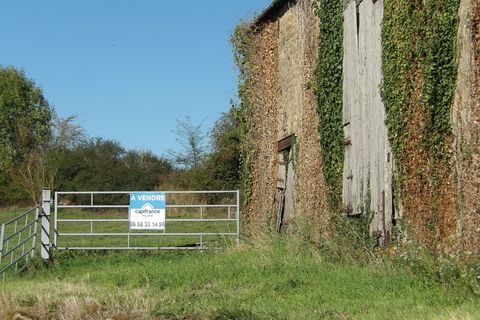 Farm hus i Sainte-Therence, Allier, Sainte-Therence - € 89.000 | Ref: 340939569181 - foto 5