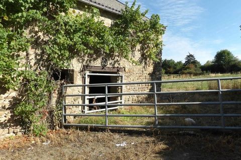 Farm hus i Sainte-Therence, Allier, Sainte-Therence - € 89.000 | Ref: 340939569181 - foto 10