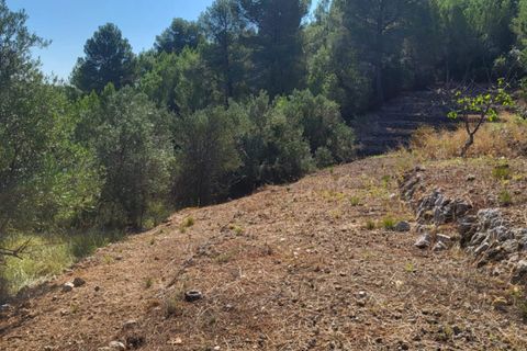 Helårsgrund i Parcent, Alicante, Parcent - € 157.500 | Ref: NVTJ0111 - foto 5