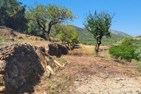 Helårsgrund i Parcent, Alicante, Parcent - € 157.500 | Ref: NVTJ0111 - foto 6
