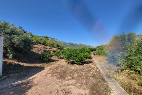 Helårsgrund i Parcent, Alicante, Parcent - € 157.500 | Ref: NVTJ0111 - foto 11