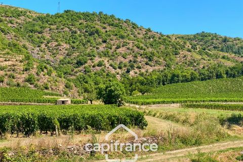 Villa i Crozes-Hermitage, Drome, Crozes-Hermitage - € 258.000 | Ref: 340938658375 - foto 29