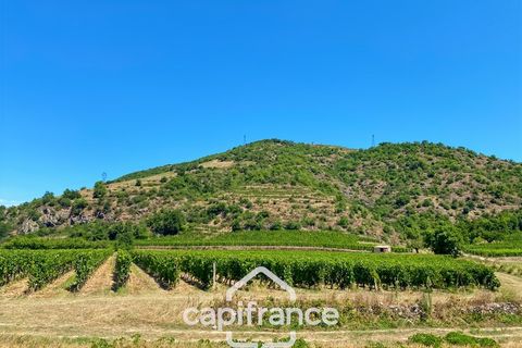 Villa i Crozes-Hermitage, Drome, Crozes-Hermitage - € 258.000 | Ref: 340938658375 - foto 30