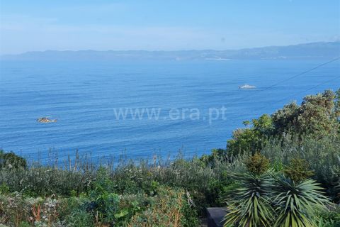 Byhus i Sao Roque do Pico, Pico, Sao Roque do Pico - € 400.000 | Ref: 374250193 - foto 41
