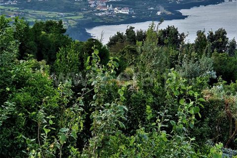 Byhus i Sao Roque do Pico, Pico, Sao Roque do Pico - € 400.000 | Ref: 374250193 - foto 44