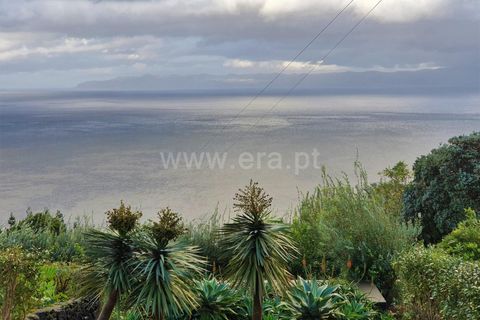 Byhus i Sao Roque do Pico, Pico, Sao Roque do Pico - € 400.000 | Ref: 374250193 - foto 47