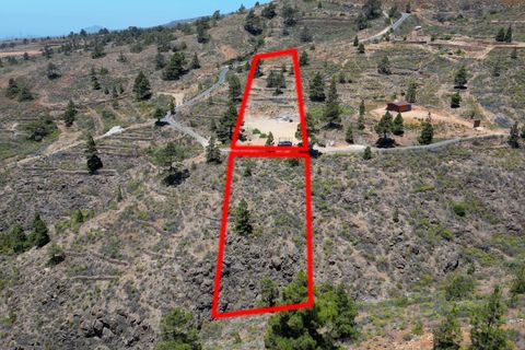 Terra a Arico, Tenerife, Arico - € 39.800 | Ref: 0067-04517/2961 - foto 2