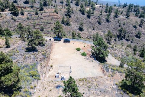 Terra a Arico, Tenerife, Arico - € 39.800 | Ref: 0067-04517/2961 - foto 3